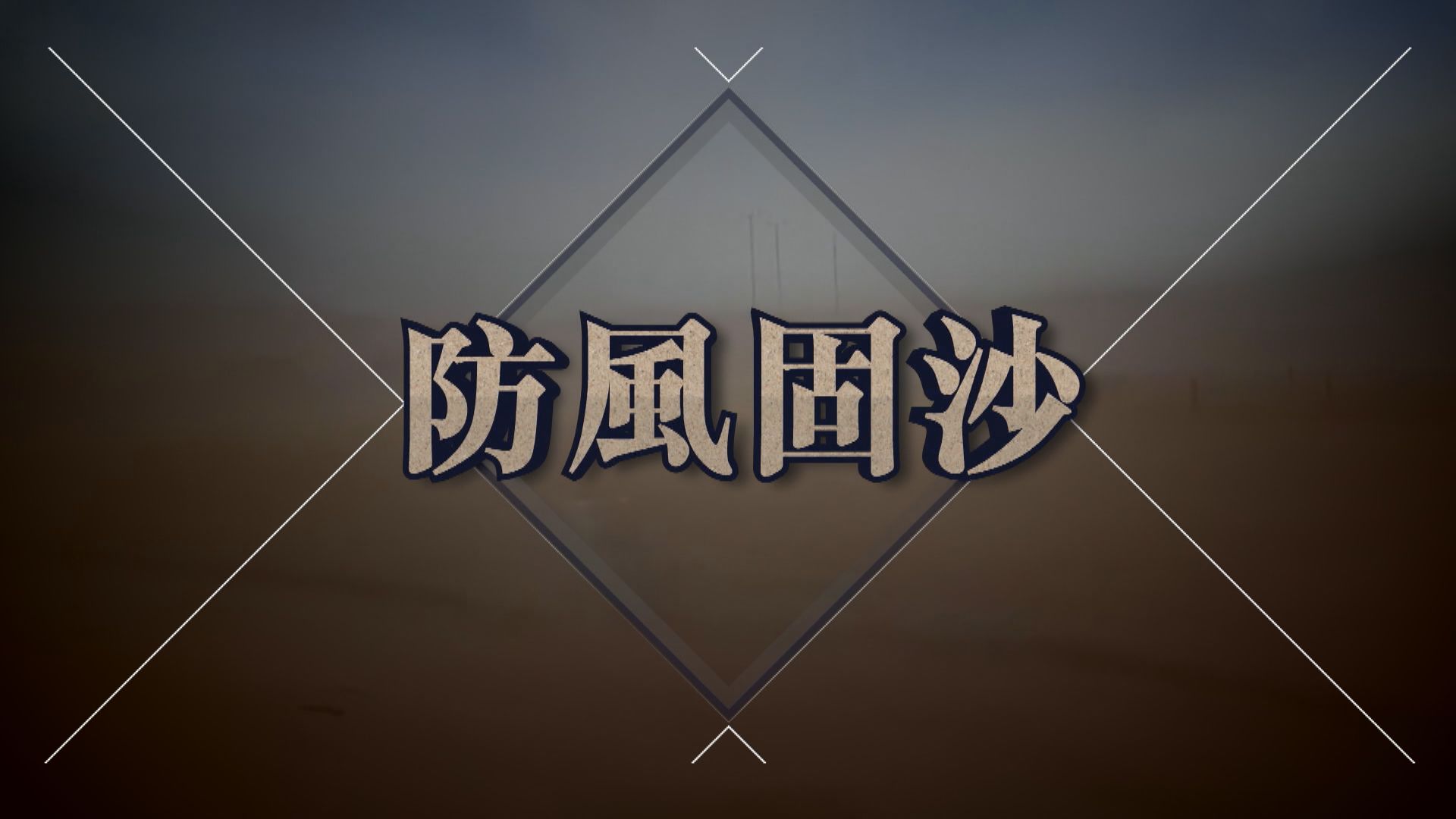 【新聞智庫】防風固沙