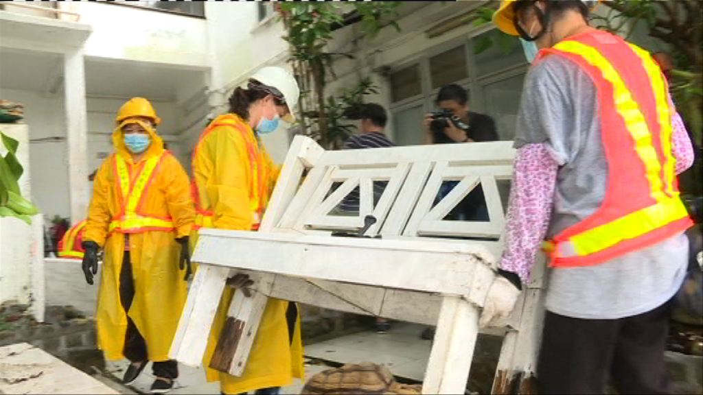 地政總署移除東丫背村佔地物品