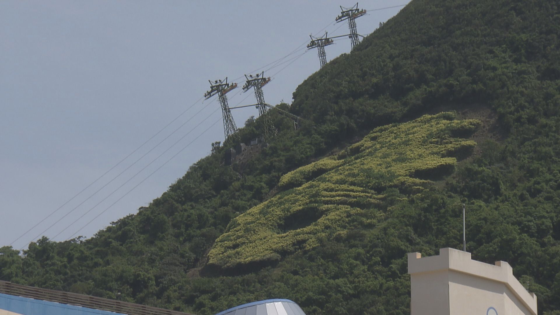 海洋公園周六重開須網上預約　港成年人可七折購票