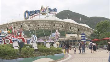 海洋公園上年度轉虧為盈 錄得近1.2億元盈餘