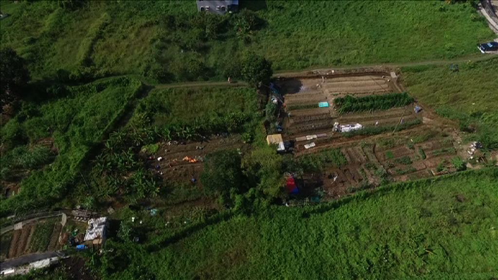 【眾說紛紜】農地轉換勢在必行　恒地續獲睇好