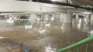 【2023 香港大事回顧】(二)