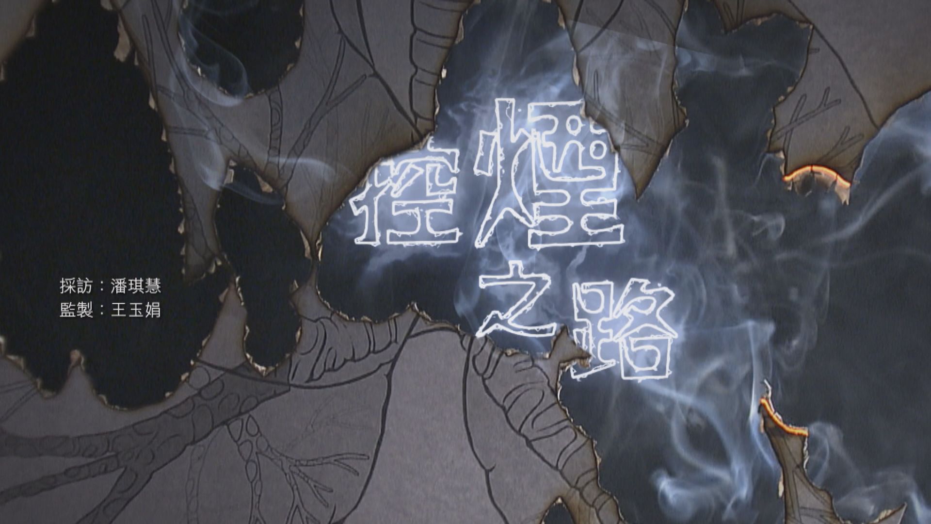 【經緯線】控煙之路（一）
