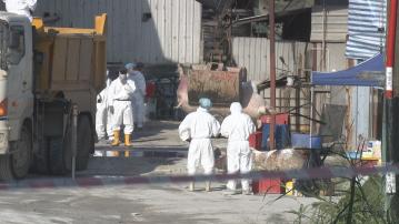 元朗新田豬場現非洲豬瘟 須銷毀逾900隻豬