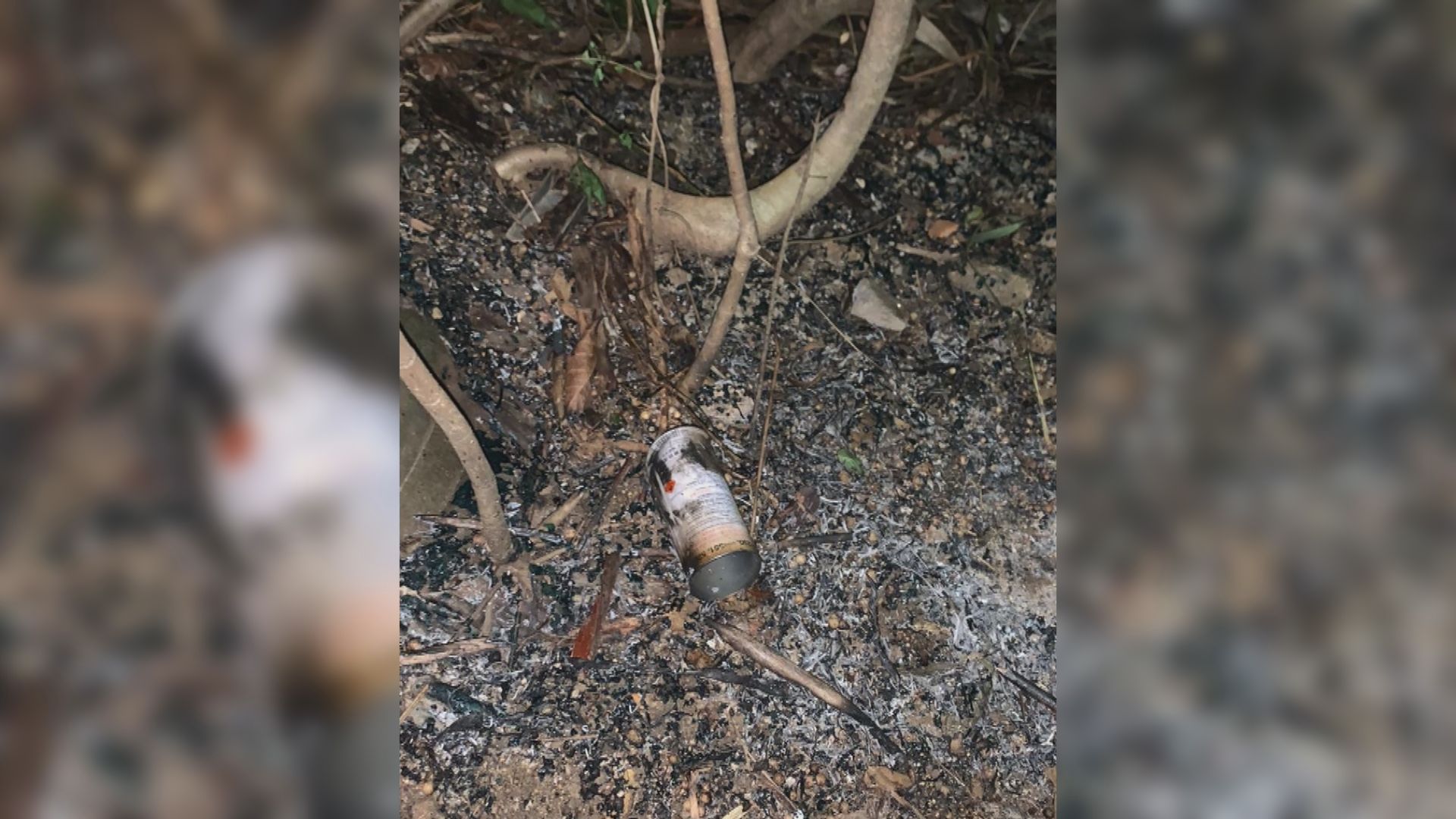 禮賓府遭投擲易燃物　據了解警方拘捕一人