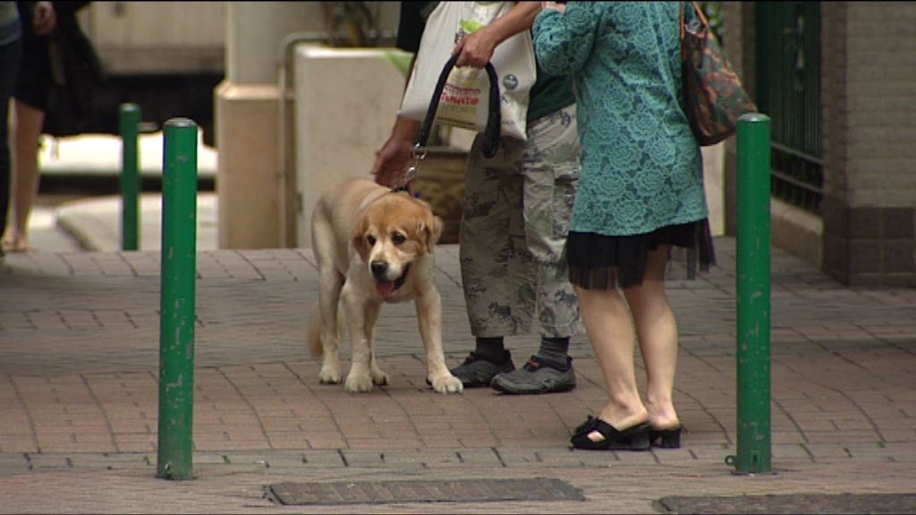 警方：虐待動物案件破案率達五成