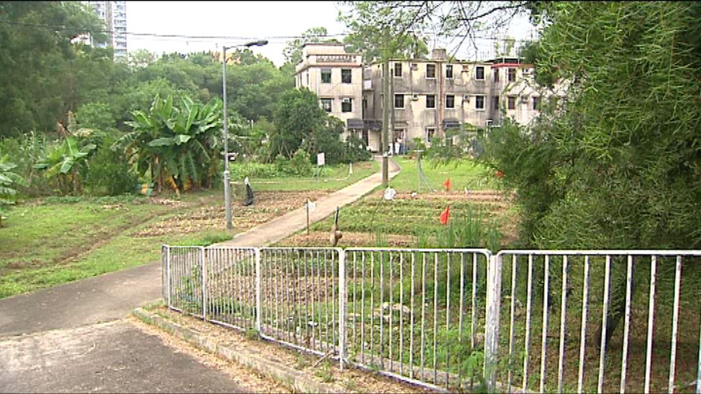 【中資續搶地】本地發展商或加快改劃農地