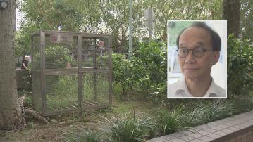 基孔肯雅熱｜劉宇隆指本港輸入風險高　市民應從源頭滅蚊