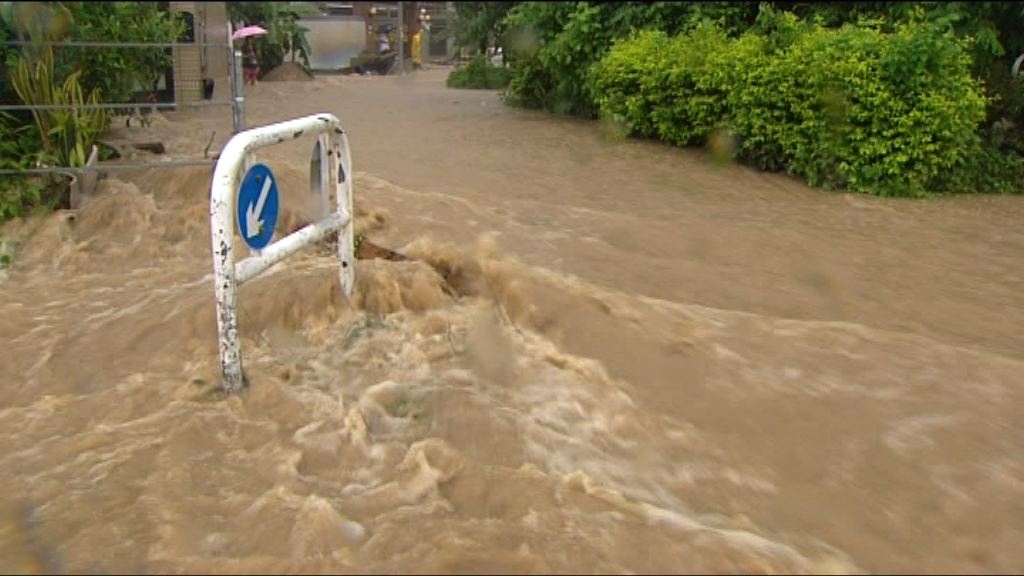 大美督黃雨水浸　渠務署考慮鞏固河堤