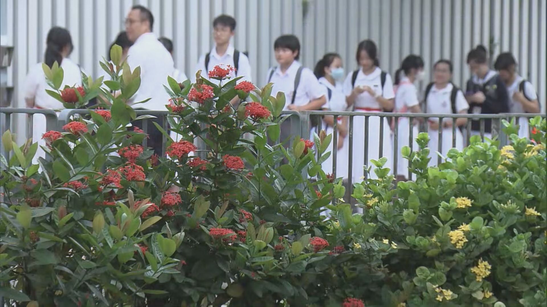 開學日｜家長陪同子女上學　九龍塘早上交通暢順