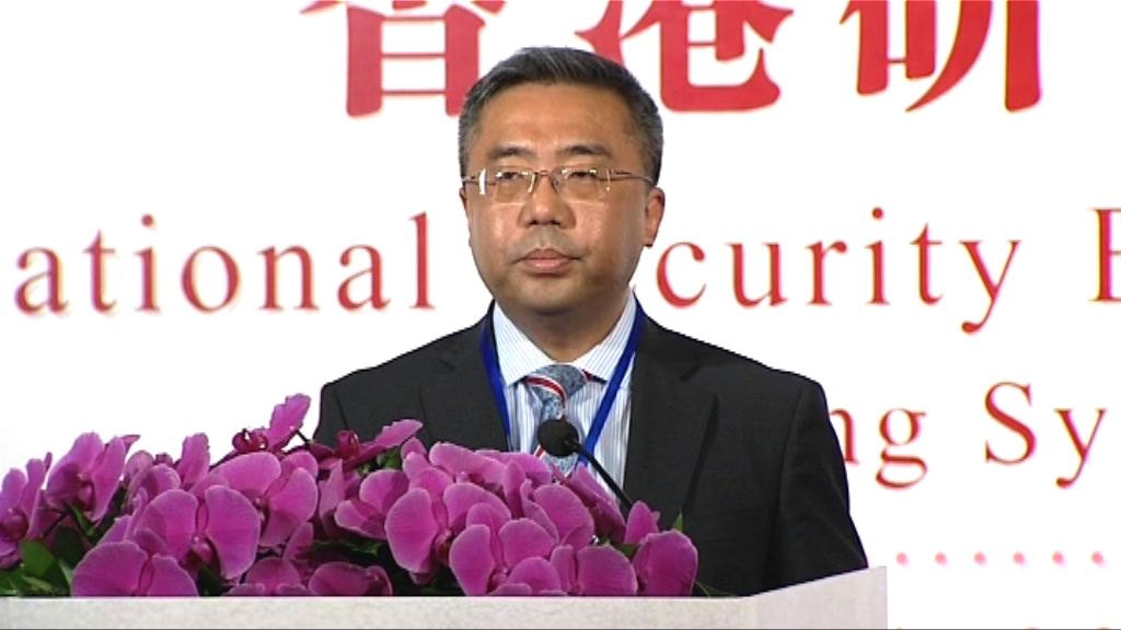 楊義瑞：外部勢力不願正視香港回歸的現實