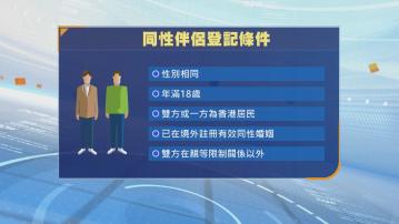 政府擬立法設同性伴侶登記制度　登記雙方須先境外註冊