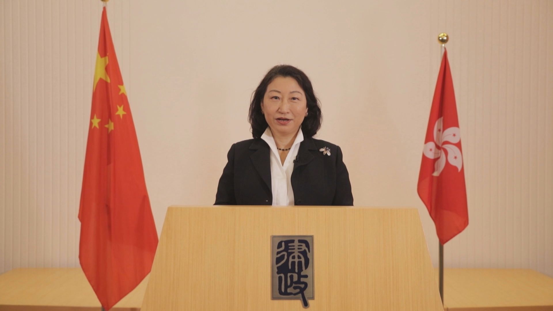 鄭若驊在聯合國人權理事會視像發言