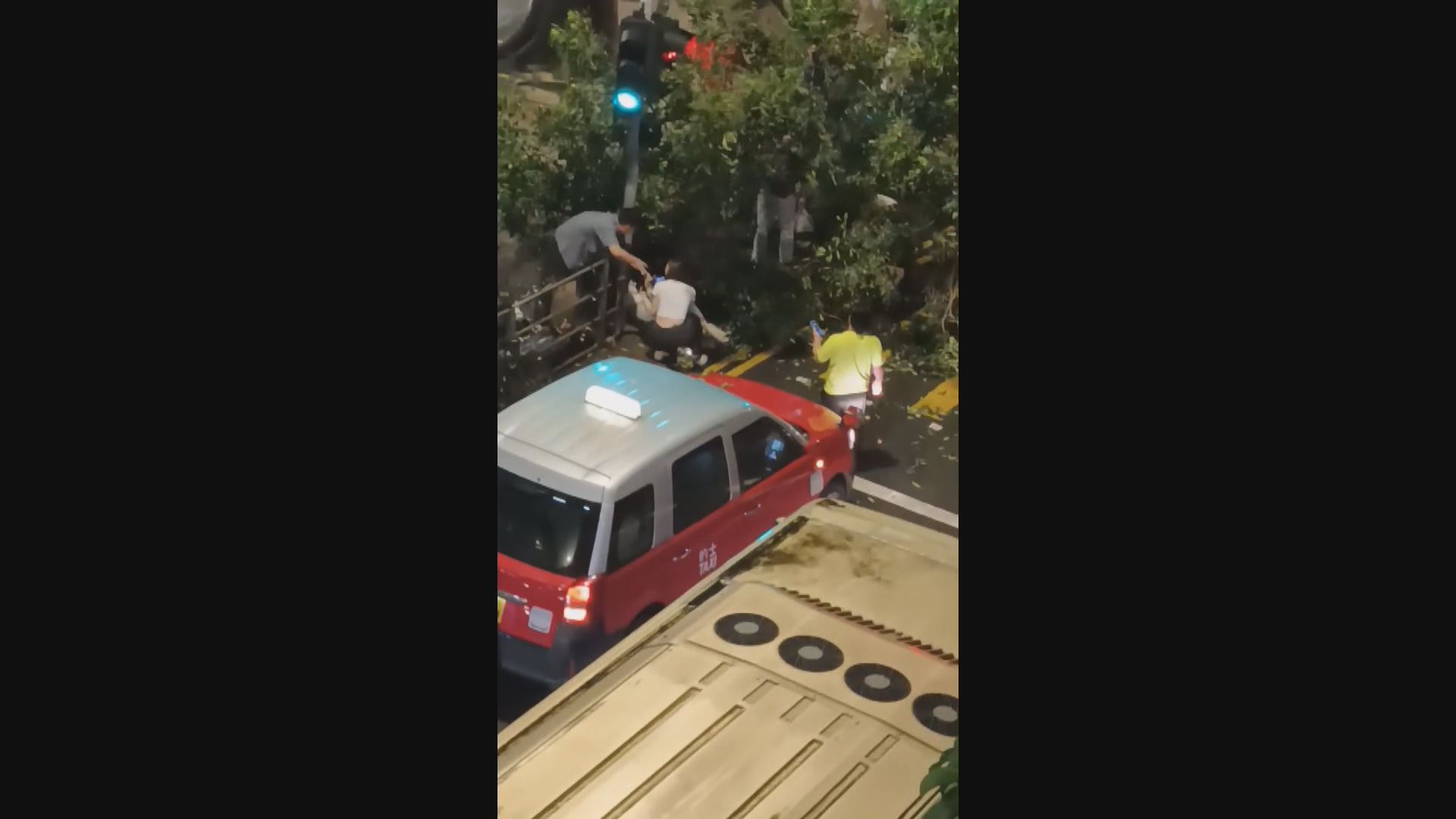 港鐵上水站對出大樹倒下壓中路人