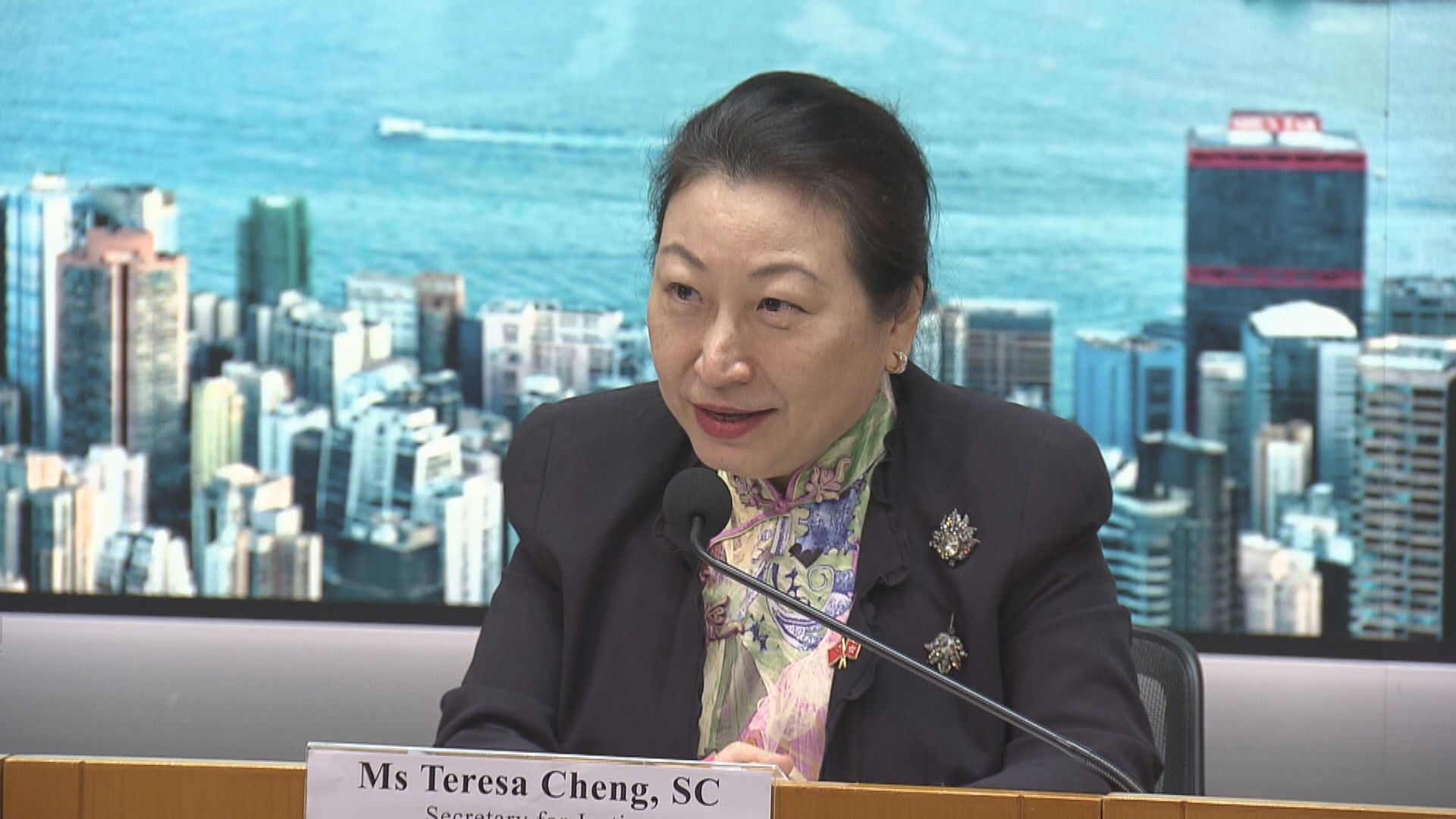 鄭若驊：三權分立常用於主權國家　不適用於香港特區