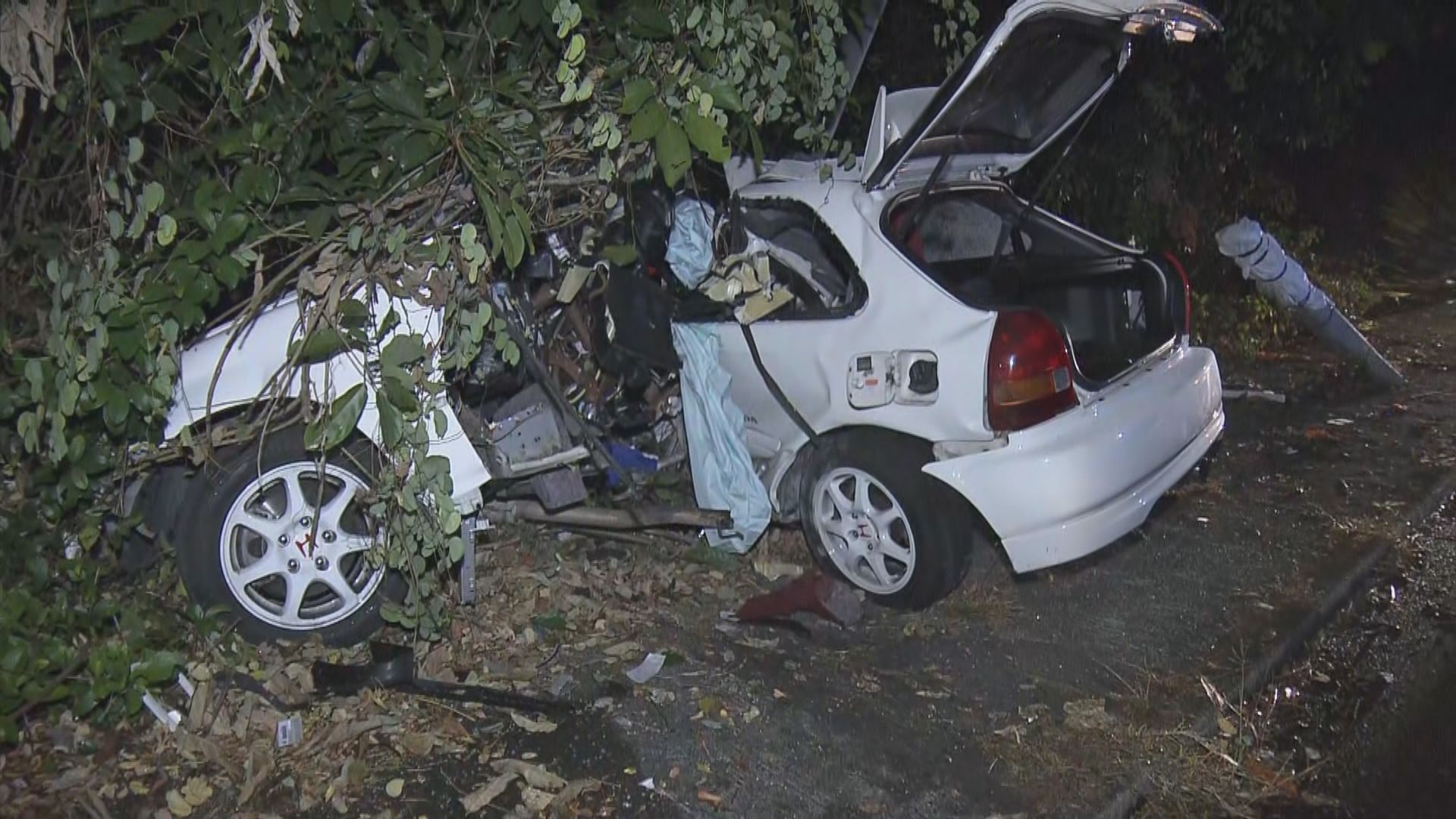 大埔私家車欄腰撞燈柱司機亡