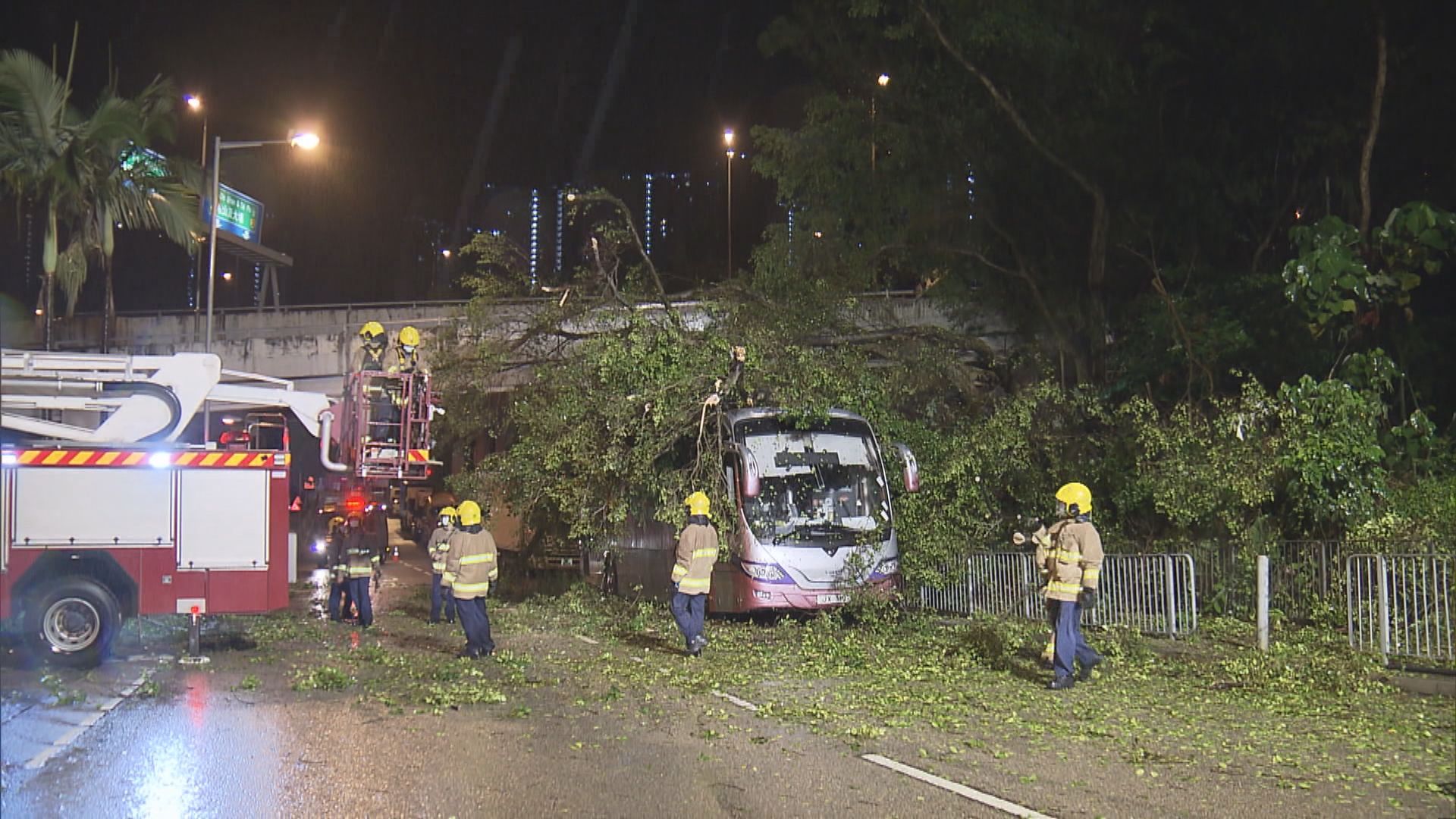 沙田塌樹壓旅遊巴無人傷