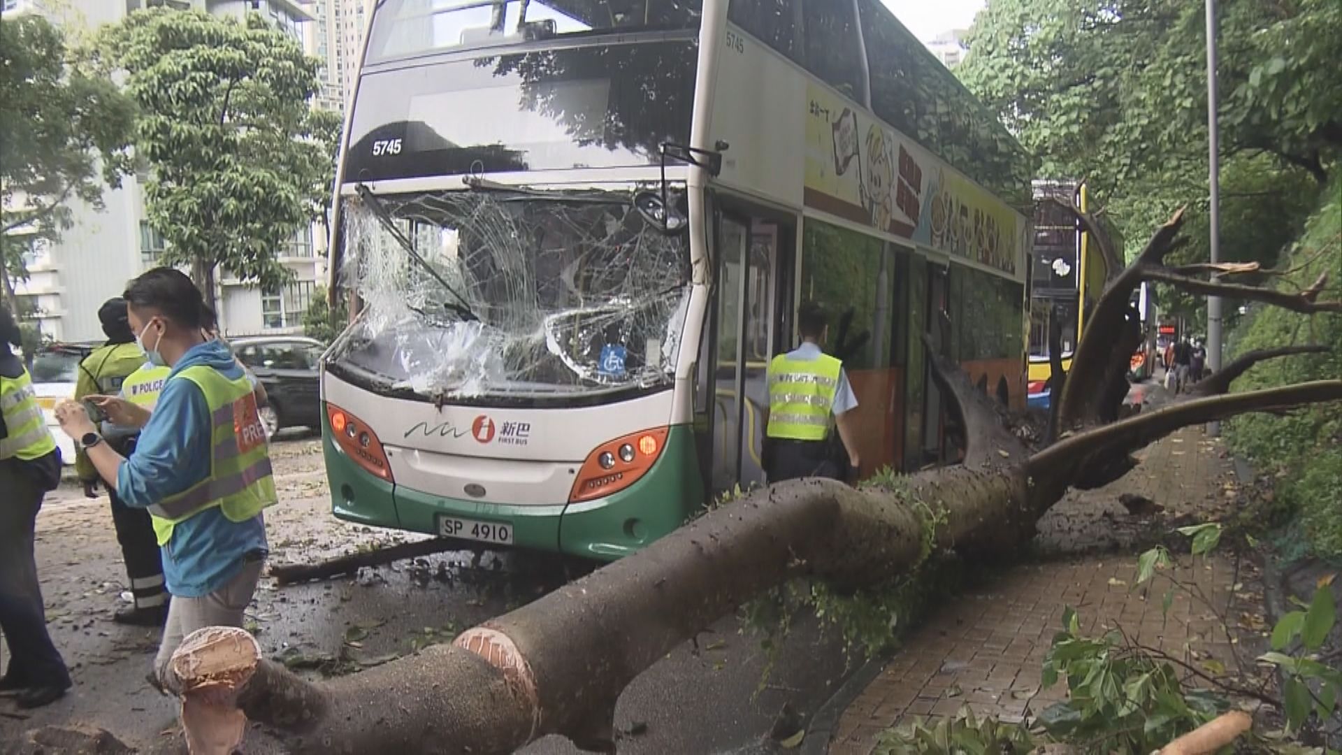 西區薄扶林道塌大樹　附近斜坡部分樹冠覆蓋近半行車線