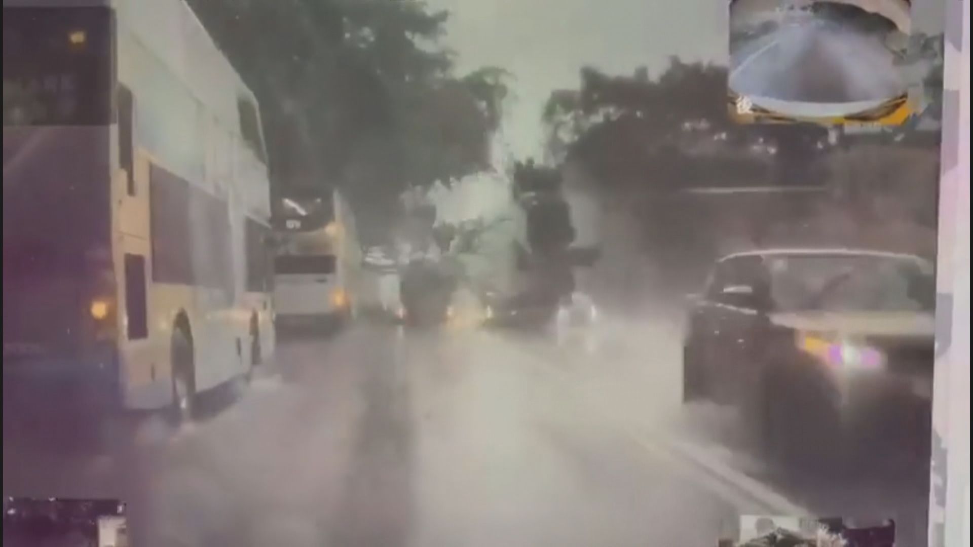 【事發一刻】西區薄扶林道塌大樹波及新巴、的士及小巴