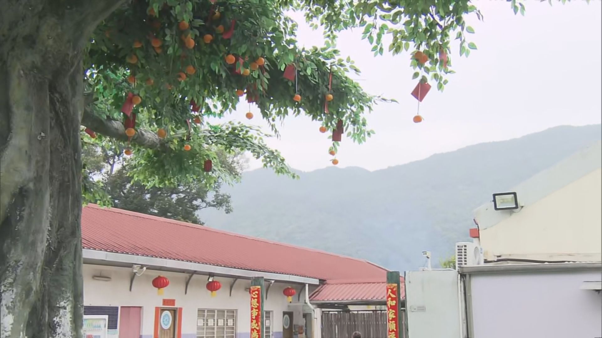 市民到大埔林村樹拋寶牒許願