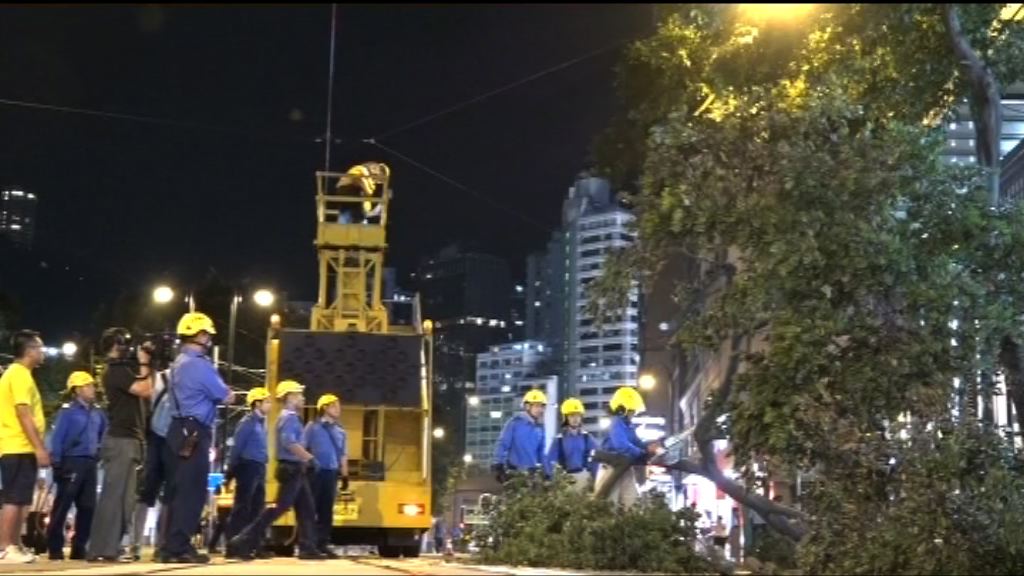 禮頓道貨車撞塌大樹壓電纜