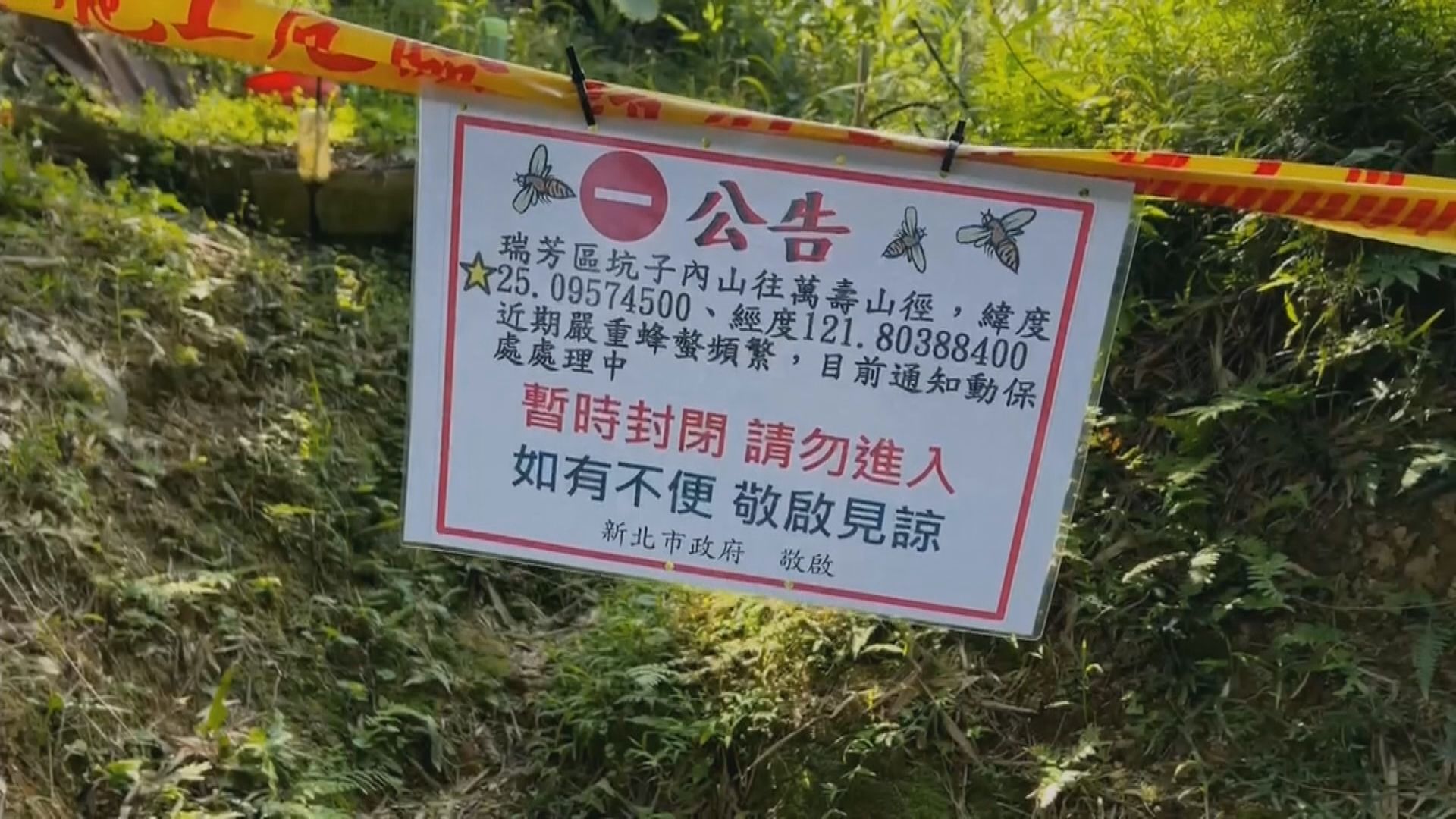 台灣新北市行山團遭虎頭蜂襲擊致兩死