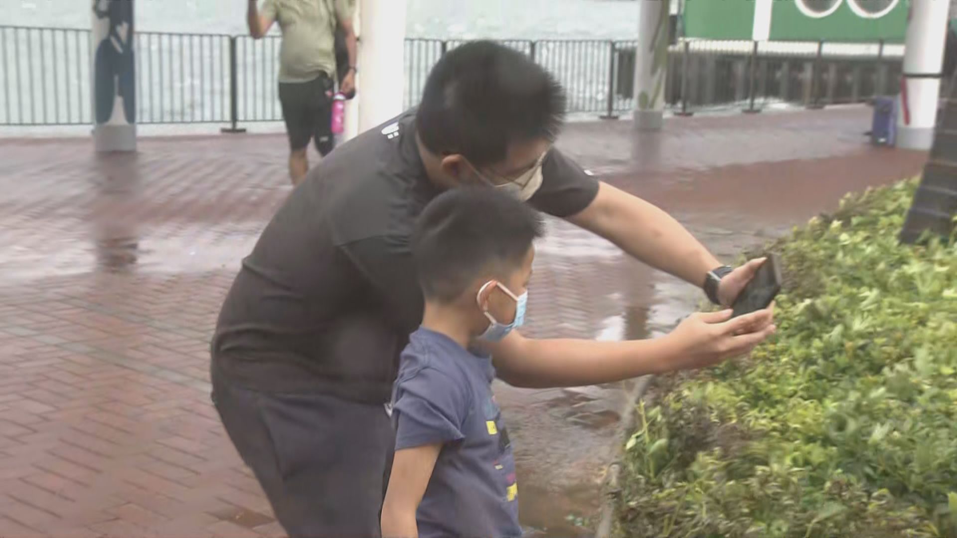 八號信號維持逾21個小時　有市民到海旁「追風」感受威力