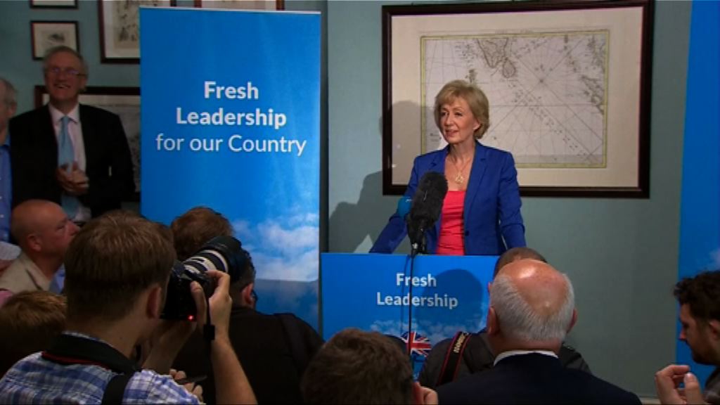 約翰遜支持李德森任保守黨黨魁