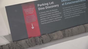 美國丹佛恐龍博物館在停車場鑽探　意外發現恐龍化石