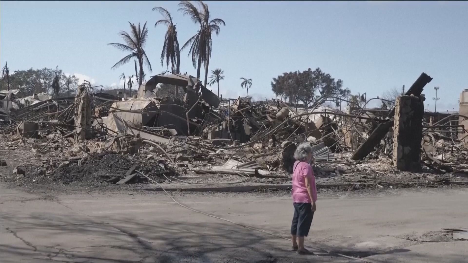 當局估計夏威夷毛伊島山火造成56億美元經濟損失