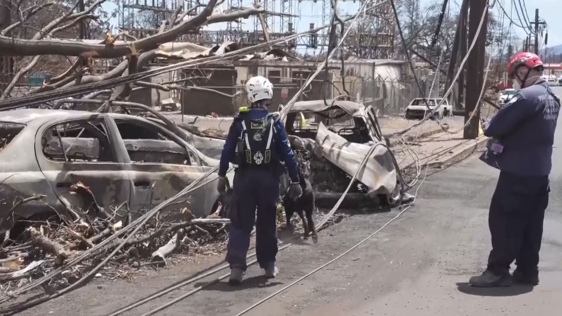 拜登下周一視察夏威夷山火災場