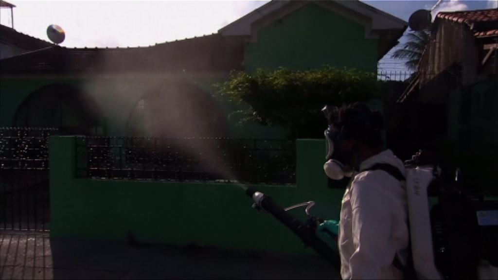 美國疑首次出現本土感染寨卡個案