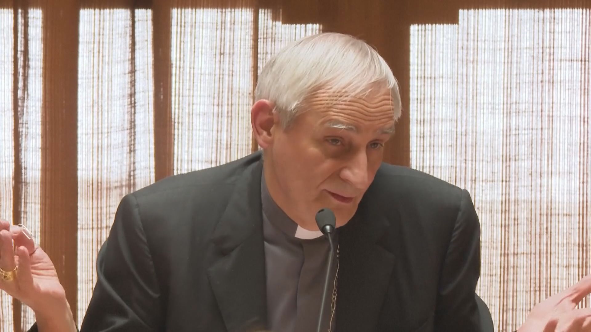 教宗和平特使祖皮訪京 將與中方歐亞事務特別代表李輝會面