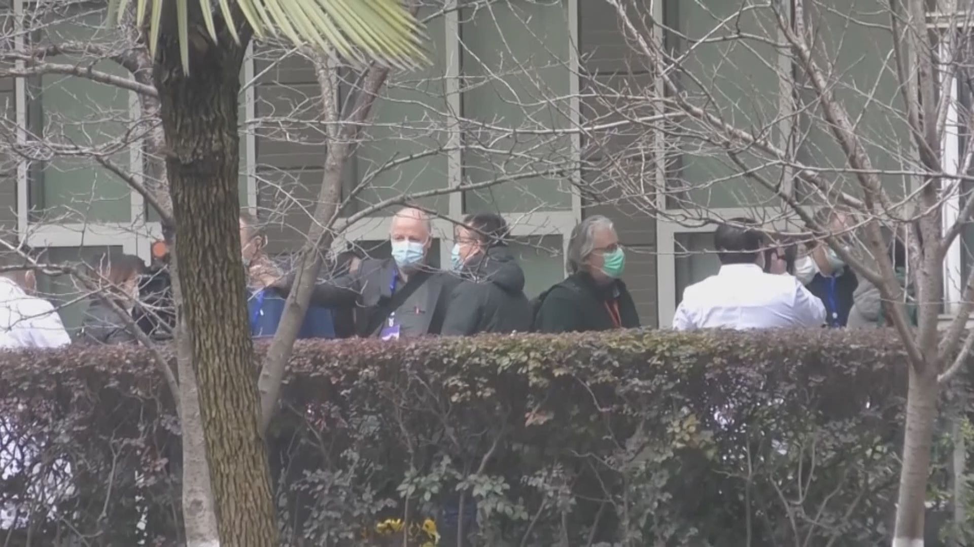 世衛專家組繼續武漢考察行程　到省動物疫病預防中心
