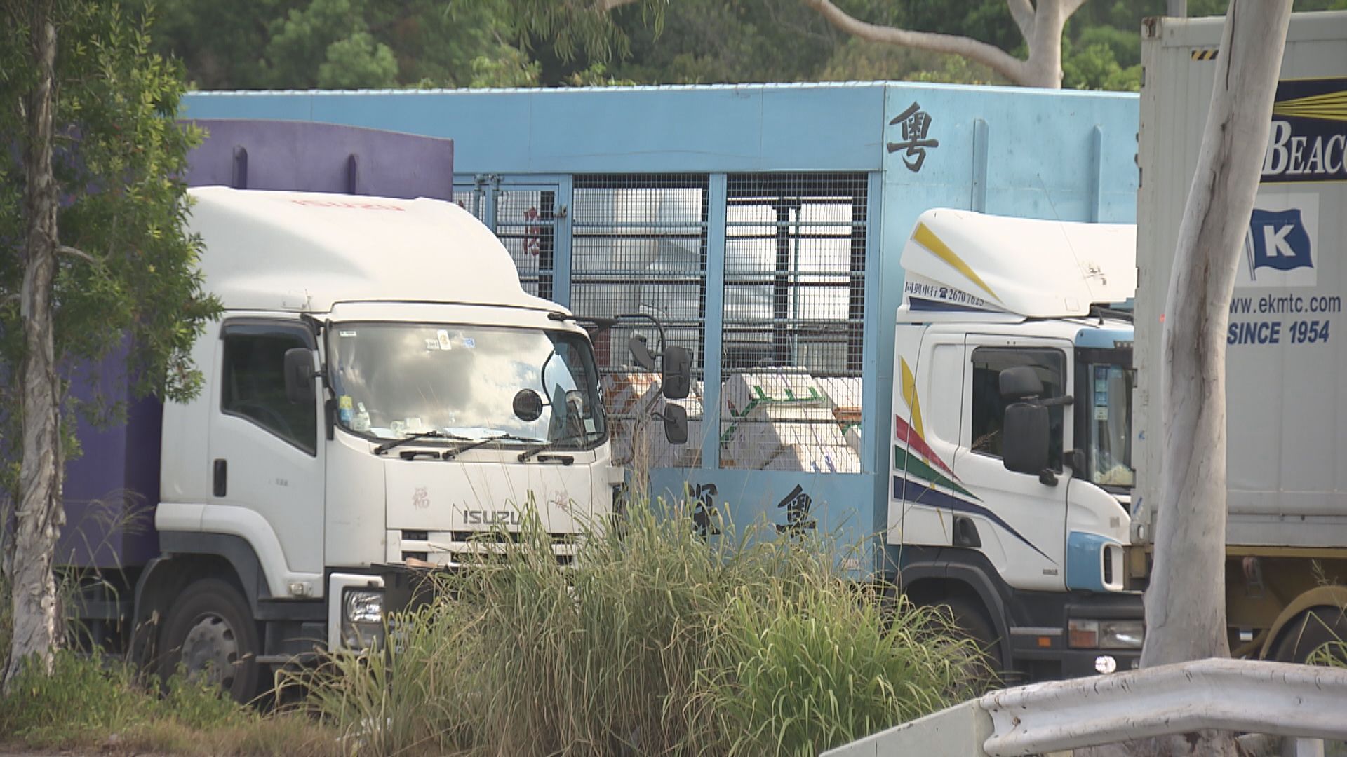 再多11名跨境司機染疫　本月4日至今累計87人