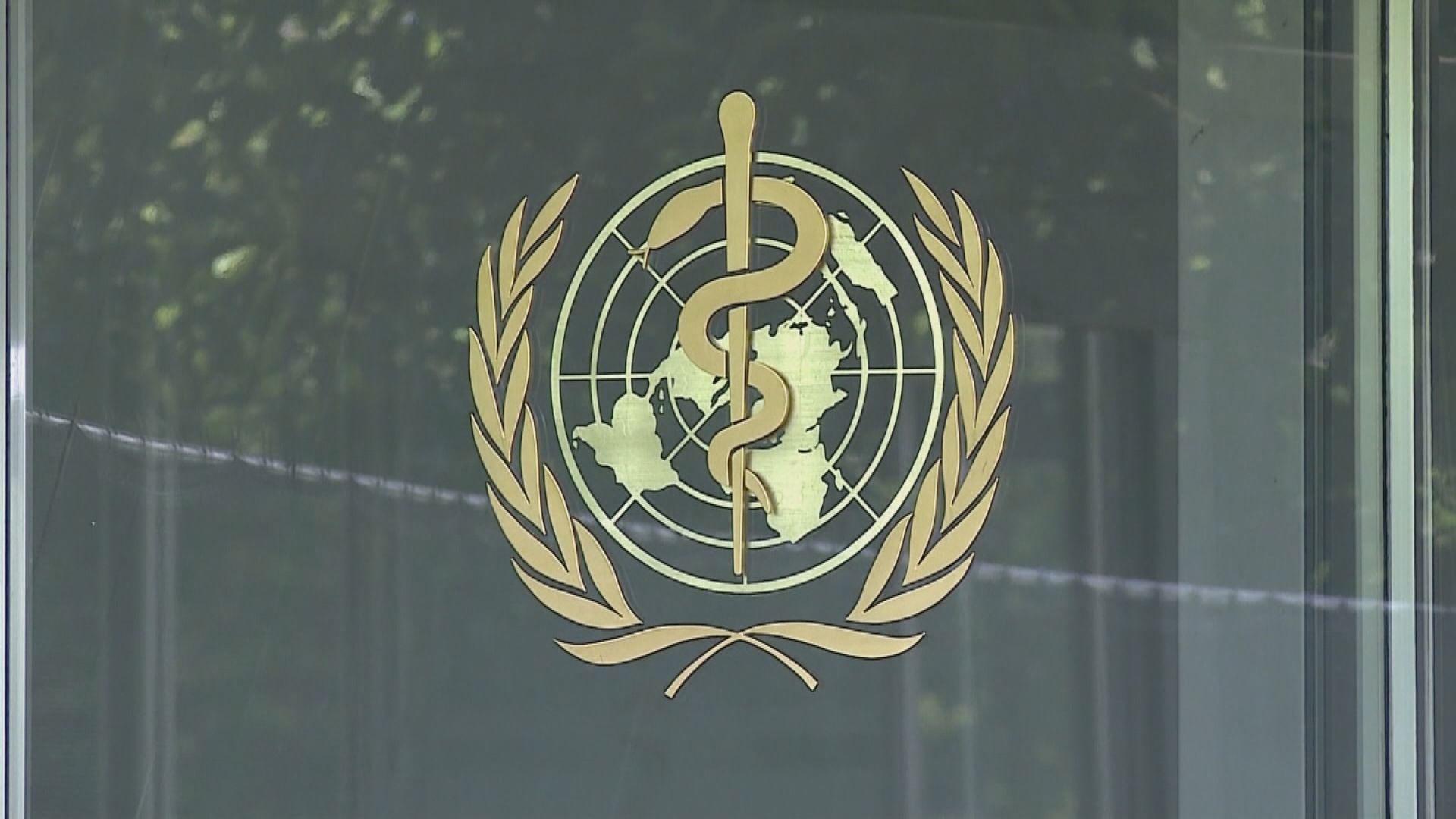 世衛促各國分享新冠病毒原始資料協助溯源調查
