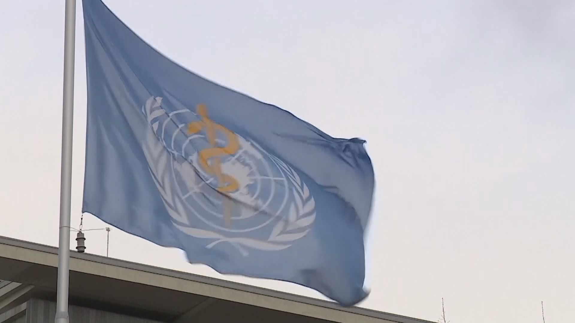 世衛緊急項目執行主任瑞安相信中國仍願配合病毒溯源