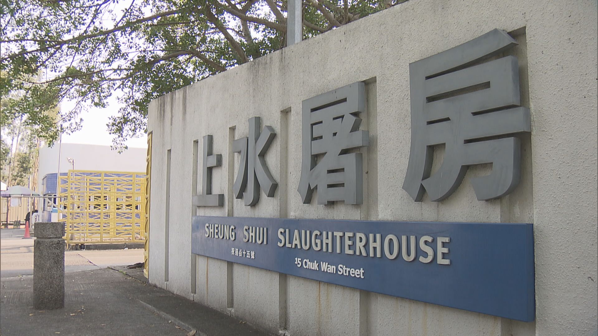 上水屠房完成消毒　拍賣和屠宰等程序即日恢復正常