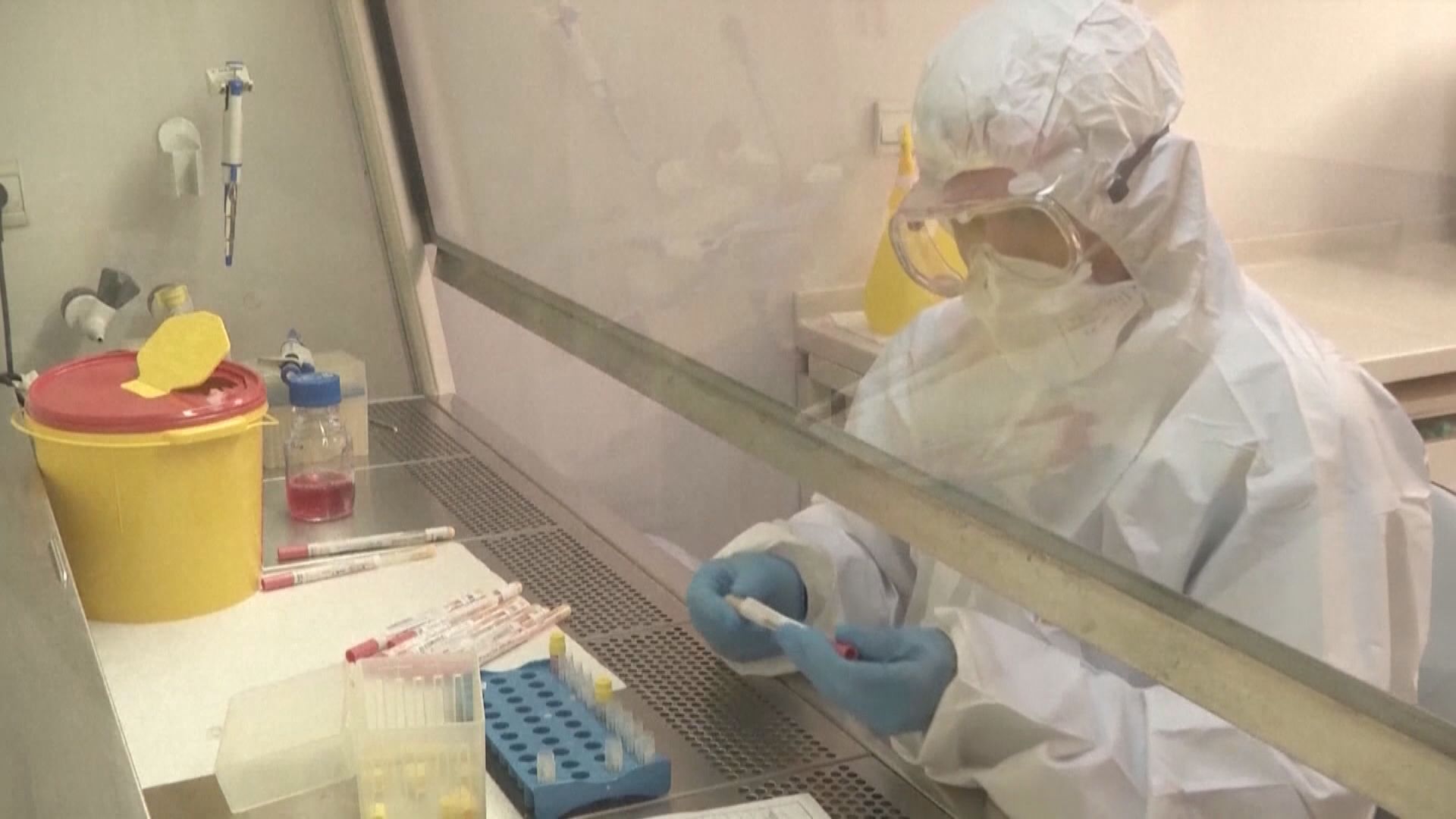 研究指感染新冠初期病毒量高　但抗體檢測不準確