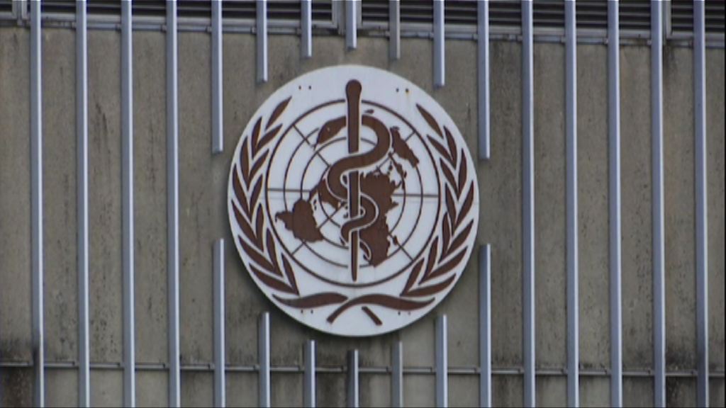 世衛進一步確定寨卡引發的小頭症